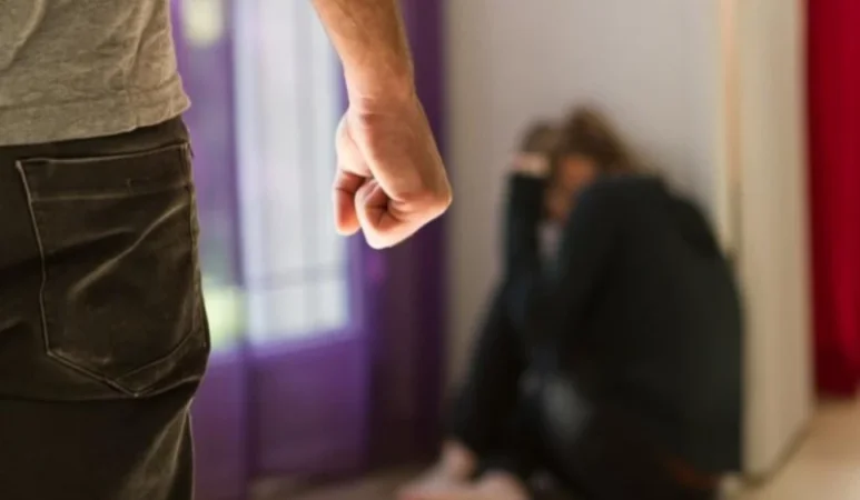 Ներդրվում է ընտանիքում բռնության դեպքերի կենտրոնացված հաշվառման հատուկ էլեկտրոնային համակարգ