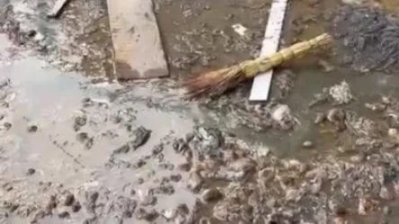 ՏԵՍԱՆՅՈՒԹ․ Անպայման խոլերա՞ պետք է տարածվի, որ քայլեր ձեռնարկեք․ Դանիելյան