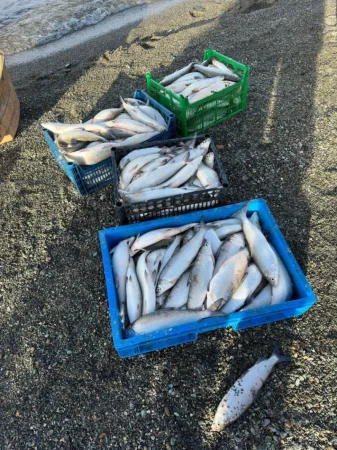 ԼՈՒՍԱՆԿԱՐՆԵՐ. Սևանից դուրս է բերվել 18 ձկնորսական ցանց, 200 սիգ կենդանի վիճակում վերադարձվել է լիճ