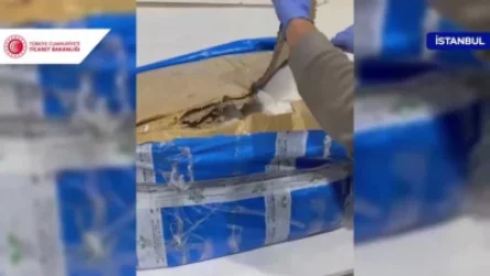 ՏԵՍԱՆՅՈՒԹ. Ստամբուլի օդանավակայանում ավելի քան կես տոննա թմրանյութ է հայռնաբերվել