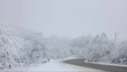 Ձյուն է տեղում, բուք է․ կան փակ ճանապարհներ