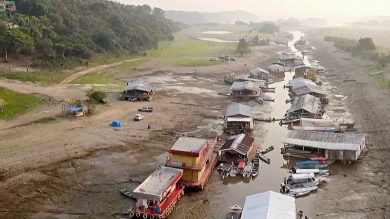 Հայտնի է Ամազոնի ռեկորդային երաշտի հիմնական պատճառը