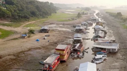 Հայտնի է Ամազոնի ռեկորդային երաշտի հիմնական պատճառը