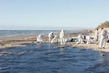 Որքան ժամանակ կպահանջվի Անապայում մազութի հետևանքները վերացնելու համար