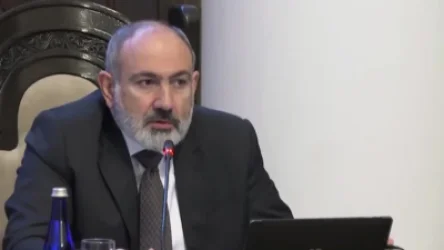 ՏԵՍԱՆՅՈՒԹ. «Էս խնդիրը մի օր պայթելու է». Փաշինյան