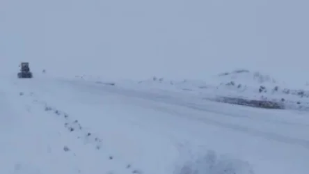 ՏԵՍԱՆՅՈՒԹ. Շիրակի մարզում ձյան բարձրությունը հասնում 20 սմ-ի