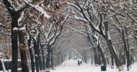 Եղանակն այսօր