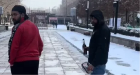 ՏԵՍԱՆՅՈՒԹ․ Ազգի հերթական «պահապանը»․ հայ տղան հնդիկներին ասում է՝ այգում գարեջուր խմելն արգելվում է