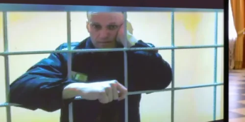 Ռուսաստանում հեռակա կարգով կալանքի որոշում է կայացվել Նավալնիի չորս համախոհների նկատմամբ