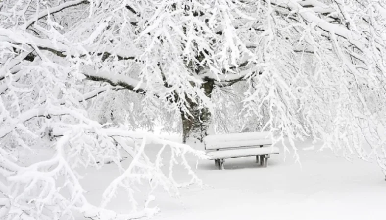 Որոշ շրջաններում սպասվում է բուք․ եղանակը՝ ՀՀ-ում