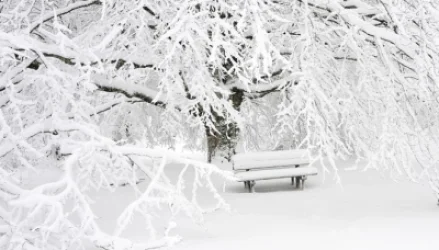 Որոշ շրջաններում սպասվում է բուք․ եղանակը՝ ՀՀ-ում