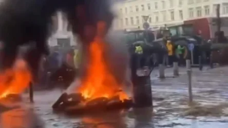 ՏԵՍԱՆՅՈՒԹ․ Բրյուսելում ֆերմերները ձվեր են նետում Եվրախորհրդարանի շենքի վրա