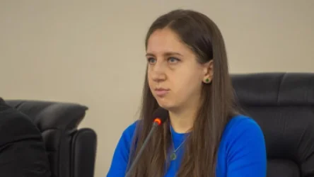 Անի Իսպիրյանի նկատմամբ կիրառվել է տնային կալանք