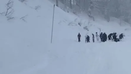 ՏԵՍԱՆՅՈԻԹ. Սոչիում մարդ մնացել է ձնահյուսի տակ