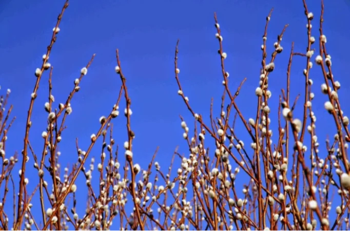 Օդի ջերմաստիճանն աստիճանաբար կնվազի