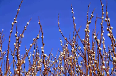 Օդի ջերմաստիճանն աստիճանաբար կնվազի