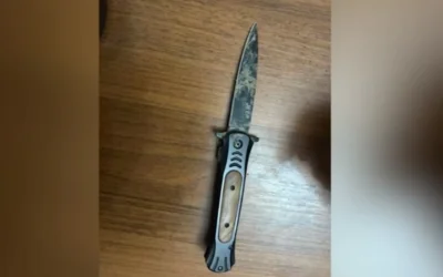 ՏԵՍԱՆՅՈՒԹ․ Մանրամասներ՝ Փոքր Մասրիկ գյուղի գերեզմանատան մոտ կատարված սպանությունից