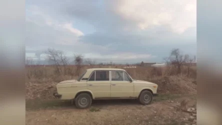 ՏԵՍԱՆՅՈՒԹ. Մեծամորի ոստիկաններն ու պարեկները հայտնաբերեցին գողացված մեքենան