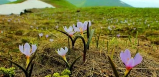 Ի՞նչ եղանակ սպասել առաջիկա օրերին