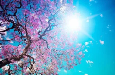 Առաջիկա օրերի եղանակը