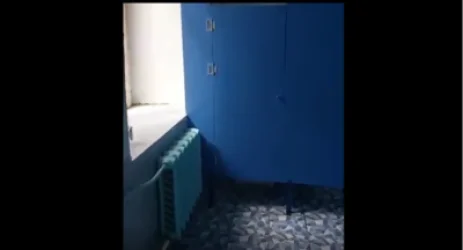 ՏԵՍԱՆՅՈՒԹ. Ոստիկանության պարզաբանումը՝ զուգարանում թաքնված սկանդալային ակտիվիստի հետ կապված միջադեպի մասին. Sputnik