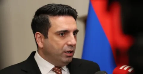 «Ամեն մեկն ուզում է քիթը խոթել քաղաքականության մեջ».  Ալեն Սիմոնյան