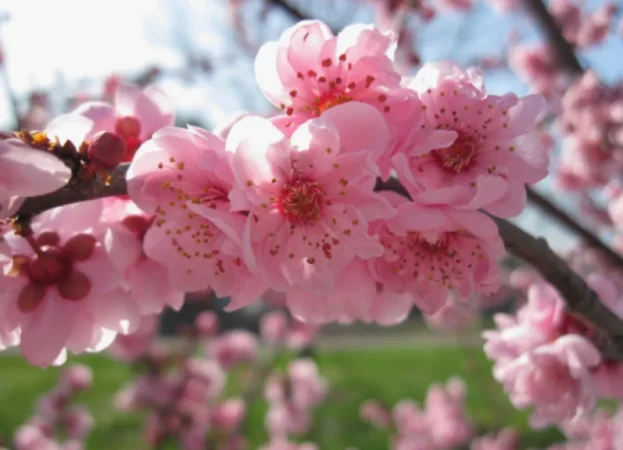 Օդի ջերմաստիճանն աստիճանաբար կբարձրանա 8-10 աստիճանով