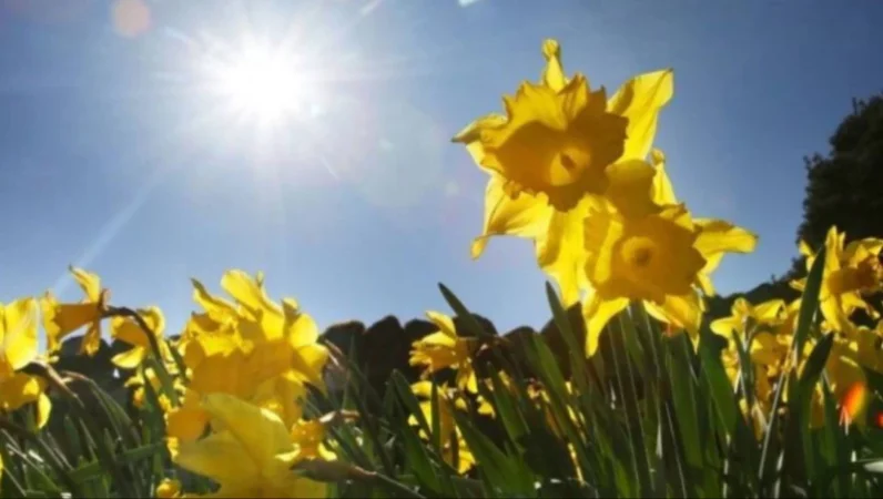 Ինչ եղանակ սպասել առաջիկայում