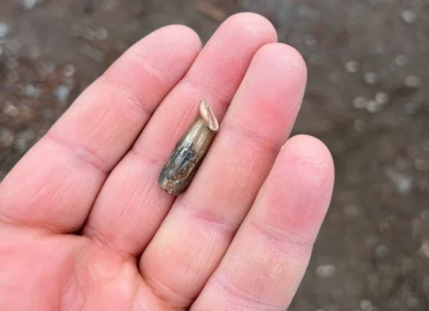 ԼՈՒՍԱՆԿԱՐՆԵՐ․ ՆԳՆ-ն ներկայացրել է ադրբեջանական կողմի անկանոն կրակի հետևանքով վնասները