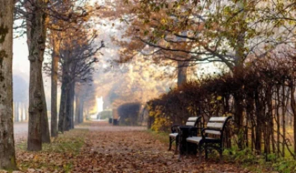 Առանձին շրջաններում սպասվում են տեղումներ․ եղանակի տեսություն