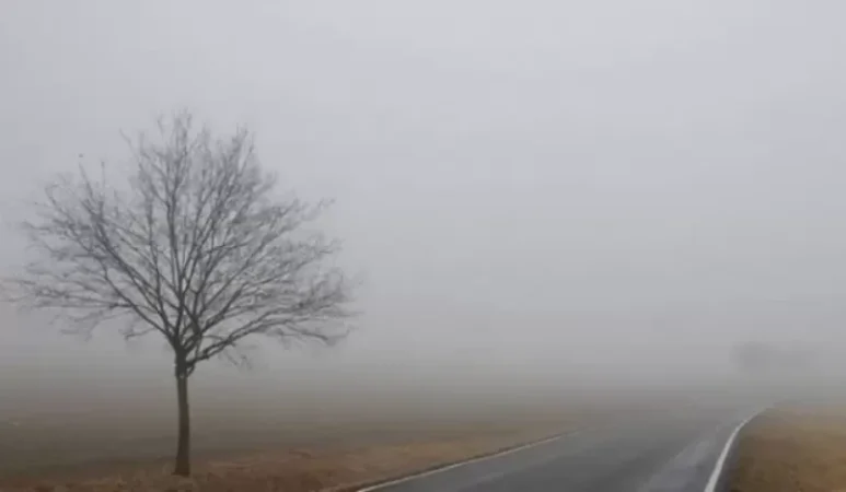 Մասիս-Արտաշատ ավտոճանապարհին մառախուղ է. մանրամասներ