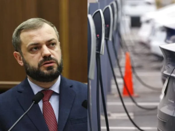 ԱԱՀ-ից կազատվեն, եթե ներմուծեն մինչև փետրվարի 1-ը. Պապոյանը` էլեկտրոմոբիլների մասին