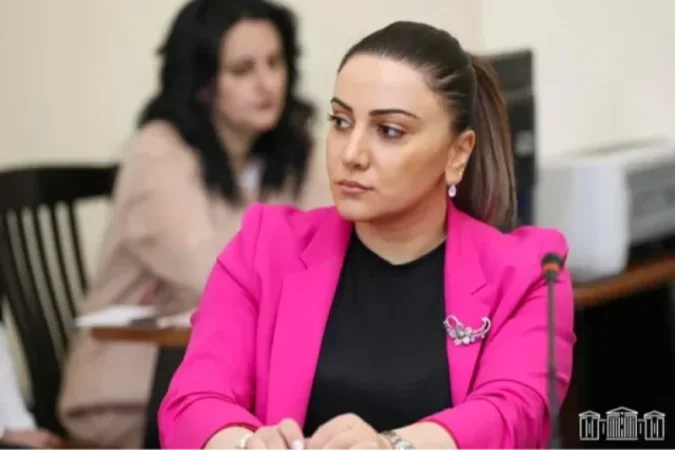 Անդրադառնալու եմ՝ մաս առ մաս․ ամեն ինչին մակերեսային եք նայել, դրա համար էլ ՀԷՑ-ն այս վիճակում է․ Մանավազյան