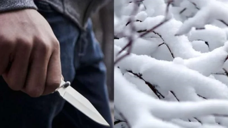 Վեճ և դանակահարություն՝ ձնագնդիով խփելու համար