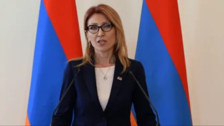 Սա քաղաքական  ակցիա չէ, այլ հումանիստական․ Մանե Թանդիլյան