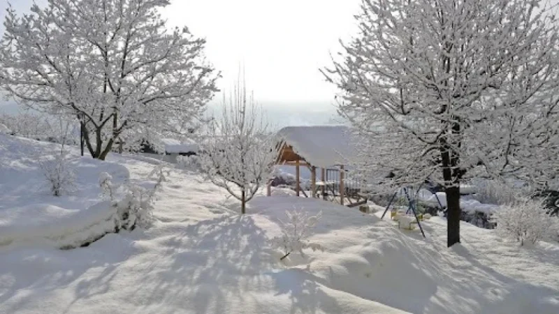 Օդի ջերմաստիճանը կբարձրանա. եղանակը Հայաստանում