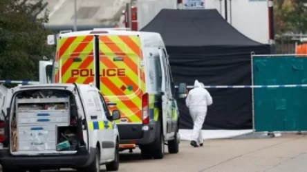 Նյու Յորքում հայտնաբերվել են տասնյակ դիերով լի բեռնատարներ. New York Times