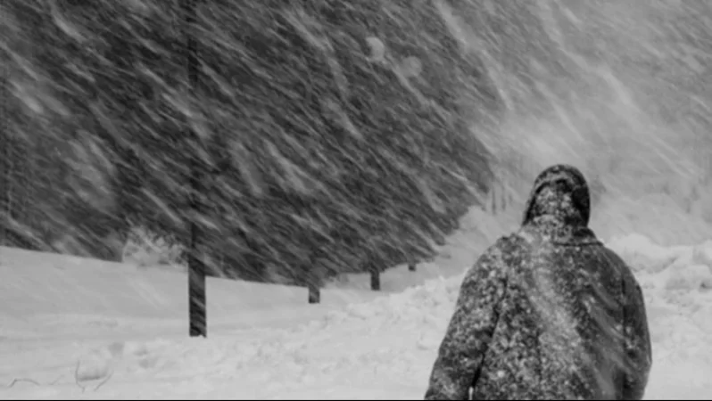 Սպասվում է քամու ուժգնացում. եղանակի տեսություն