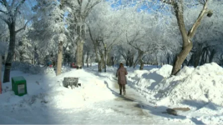 Օդի ջերմաստիճանը աստիճանաբար կբարձրանա 5-8 աստիճանով