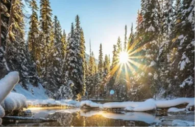 Օդի ջերմաստիճանը փետրվար աստիճանաբար կբարձրանա