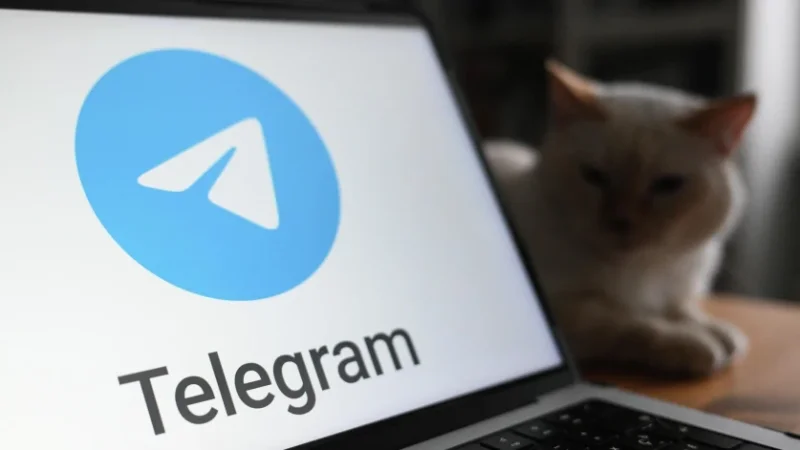 Telegram-ը տվյալներ է փոխանցում ուկրաինական հատուկ ծառայություններին. ՌԱԴԾ