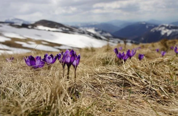 Օդի ջերմաստիճանն աստիճանաբար կբարձրանա. եղանակը Հայաստանում