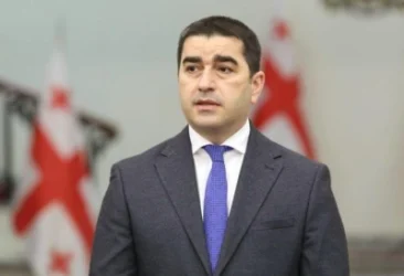 Վրաստանն ԵՄ-ին իր պայմաններն է ներկայացրել