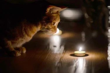 Երկարատև հոսանքազրկում՝ Երևանում և որոշ մարզերում