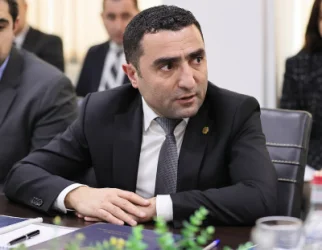 Ռոմանոս Պետրոսյանը` Լևոն Տեր-Պետրոսյանի առանձնատան հոսանքազրկման մասին