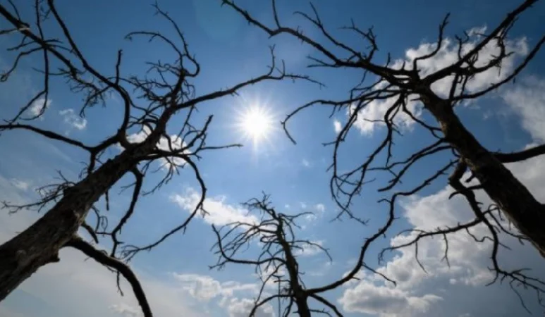 Հայտնի է՝ առաջիկա օրերի եղանակային կանխատեսումը