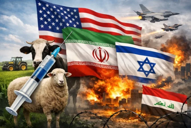 Լուրերը մեկ տողով. Անվճար պատվաստում՝ գյուղատնտեսական կենդանիներին, Իսրայելի նախագահի կոչը,  Իսրայելը օդային հարվածներ է հասցրել Իրանին