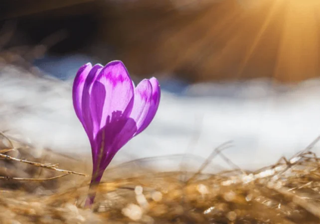 Ինչ եղանակ սպասել առաջիկա օրերին