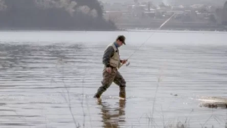 ՌԴ-ի դեմ պատժամիջոցների պատճառով ճապոնացի ձկնորսները տուժում են