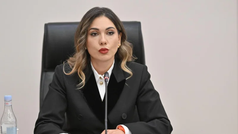 Սրբուհի Գալյանը` 1 տարեկան երեխայի ծեծի դեպքի մասին